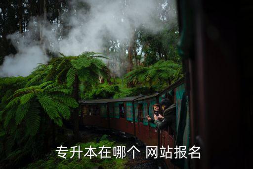 專(zhuān)升本要看哪個(gè)網(wǎng)站,山東專(zhuān)升本報(bào)名網(wǎng)站什么事?