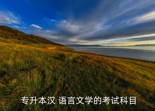 語言系專升本,中文語言文學(xué)專業(yè)介紹中文與文學(xué)相關(guān)知識