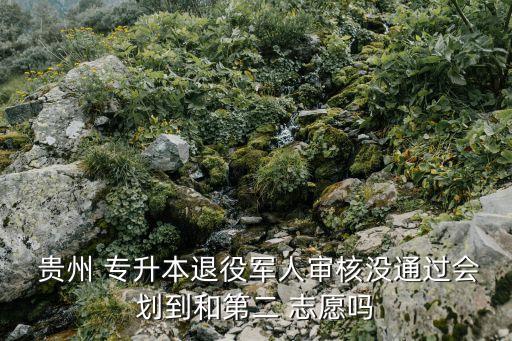  貴州 專升本退役軍人審核沒通過會(huì)劃到和第二 志愿嗎