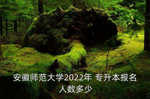 安徽師范大學(xué)2022年 專升本報(bào)名 人數(shù)多少