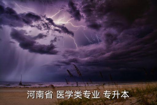 河南省 醫(yī)學(xué)類專業(yè) 專升本