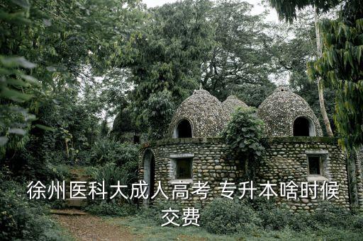  徐州醫(yī)科大成人高考 專升本啥時候交費(fèi)