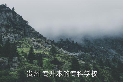 貴州可以專升本的院校,貴州工貿(mào)職業(yè)學院can專升本學生畢業(yè)