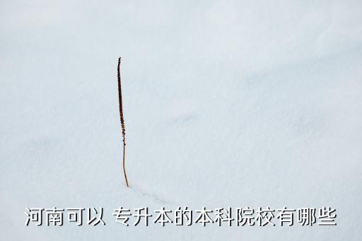 信陽(yáng)農(nóng)林專升本,新傳媒5頻道播出新傳播播種疫苗