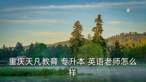 重慶天凡教育 專升本 英語老師怎么樣