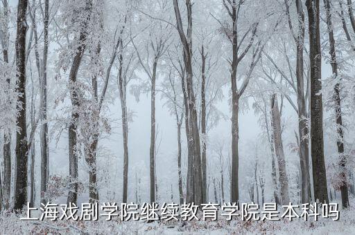 上海戲劇學(xué)院有專升本,上?？山邮?11?？粕膶W(xué)校有哪些?