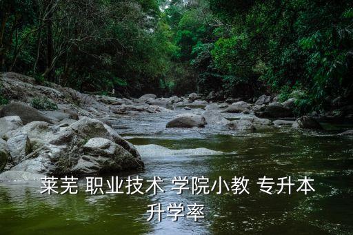  萊蕪 職業(yè)技術(shù) 學(xué)院小教 專(zhuān)升本升學(xué)率