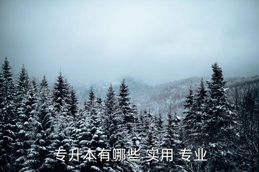  專(zhuān)升本有哪些 實(shí)用 專(zhuān)業(yè)
