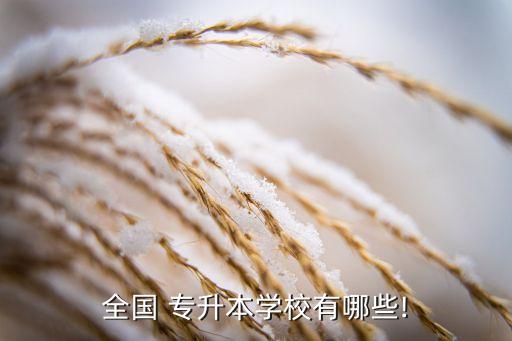 遼寧專升本的專科學(xué)校,遼寧計算機(jī)專升本可選大學(xué)和?？茖W(xué)院