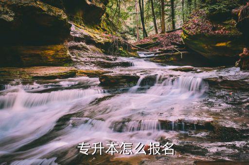  專升本怎么報(bào)名