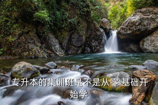  專升本的集訓班是不是從零 基礎開始學
