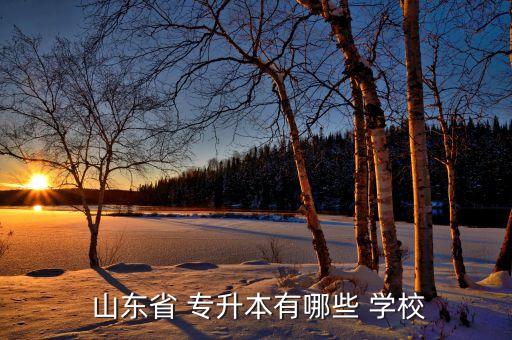  山東省 專升本有哪些 學(xué)校
