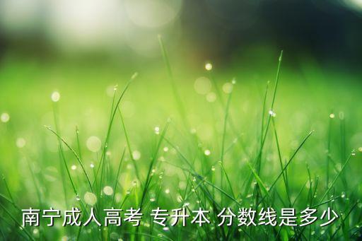南寧成人高考 專升本 分?jǐn)?shù)線是多少
