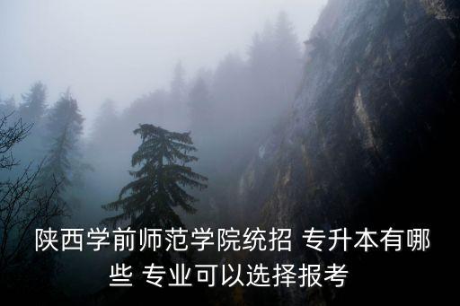 陜西專升本學校專業(yè)嗎,專升本課程有哪些?