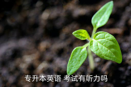 專(zhuān)升本學(xué)位外語(yǔ)考試,自學(xué)專(zhuān)升本學(xué)位英語(yǔ)不是必修課程