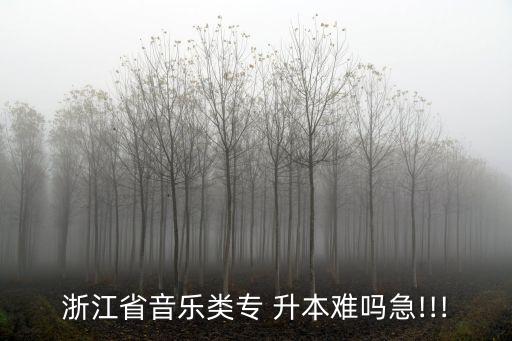 浙師大專升本容易嗎,浙江師范大學(xué)不好考，考完都難!