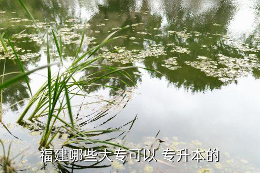 福建哪些大?？梢?專升本的
