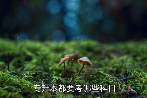 2017級(jí)專升本報(bào)考內(nèi)容,陜西專升本報(bào)名流程!