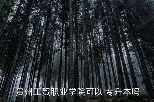  貴州工貿(mào)職業(yè)學(xué)院可以 專升本嗎