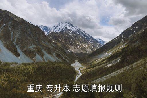  重慶 專升本 志愿填報規(guī)則