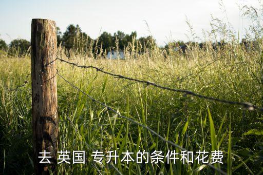 去 英國 專升本的條件和花費