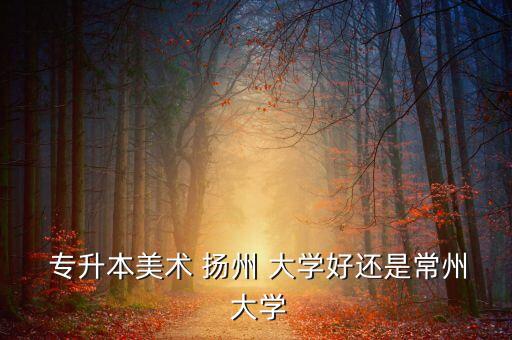  專升本美術(shù) 揚(yáng)州 大學(xué)好還是常州 大學(xué)