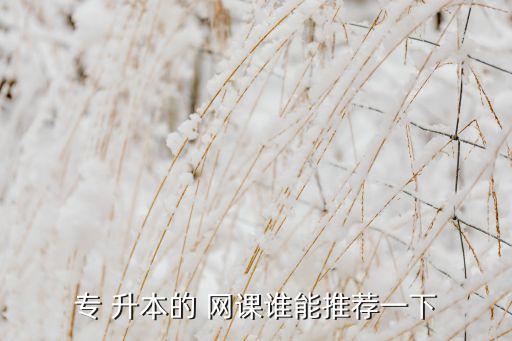 安師大專(zhuān)升本網(wǎng)課,安慶師范大學(xué)升本網(wǎng)課免費(fèi)試聽(tīng)一次可付費(fèi)