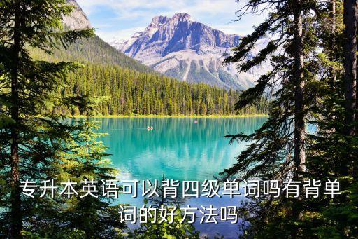  專升本英語(yǔ)可以背四級(jí)單詞嗎有背單詞的好方法嗎