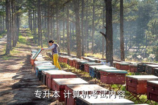 大專專升本計(jì)算機(jī),廣東計(jì)算機(jī)專升本考試科目包括外語(yǔ)、數(shù)學(xué)