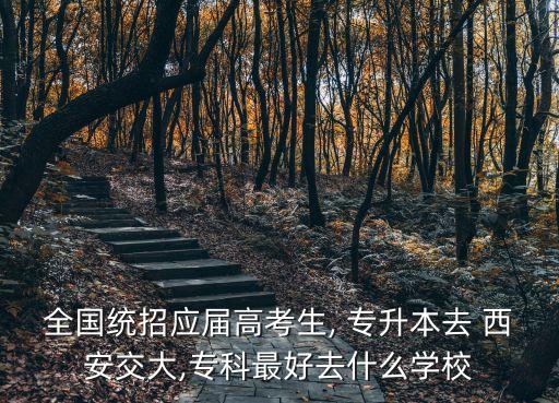 西安交大藥學(xué)專升本,成人自學(xué)考試專升本?？飘厴I(yè)生怎么辦?