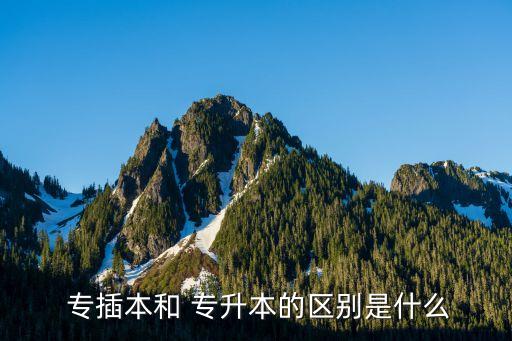 專升本是專插本嗎,廣東省?？频饺罩票究埔淮芜x考成績揭曉