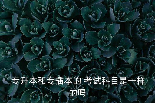專升本是統(tǒng)一考試么,普通專升本考試提出兩門表格關(guān)閉考試