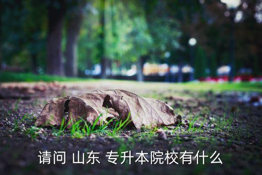 山東專升本考哪些學校,12所高校包括山東泰山醫(yī)學院本科學院
