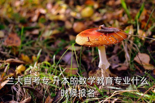 蘭大專升本招生考試,蘭州大學(xué)專業(yè)課升本報(bào)名時(shí)間和地點(diǎn)