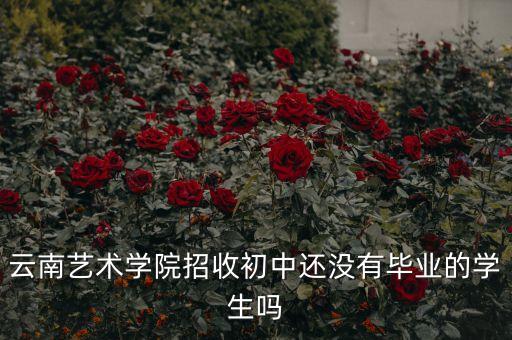 云南藝術(shù)學院招收初中還沒有畢業(yè)的學生嗎