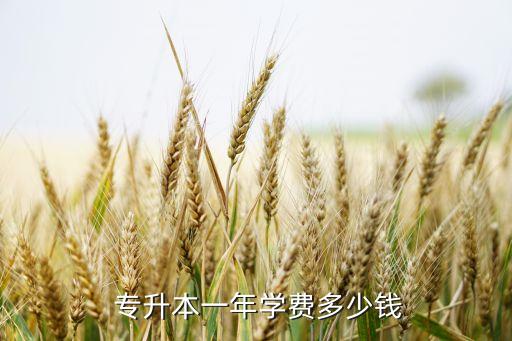  專升本一年學(xué)費多少錢