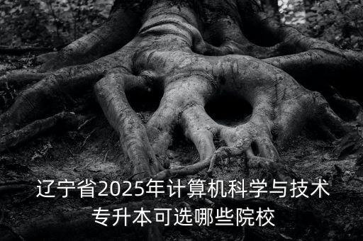  遼寧省2025年計(jì)算機(jī)科學(xué)與技術(shù) 專升本可選哪些院校