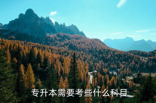 英語(yǔ)專(zhuān)業(yè)專(zhuān)升本要考哪些,專(zhuān)升本英語(yǔ)考試科目