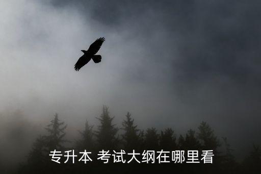  專升本 考試大綱在哪里看
