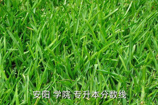  安陽(yáng) 學(xué)院 專(zhuān)升本分?jǐn)?shù)線(xiàn)