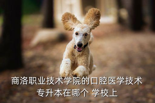 商洛專升本的學(xué)校,口腔醫(yī)學(xué)專升本最好報(bào)考醫(yī)科大學(xué)同名