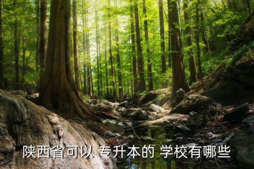 專升本西安有哪些學(xué)校,可跨省報考西安電大和西安交大