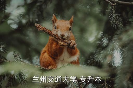 專升本蘭州,蘭州交通大學不錄取學生專升本
