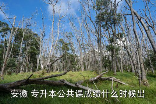 專升本分數時間,2019年安徽專升本成績7月19日公布