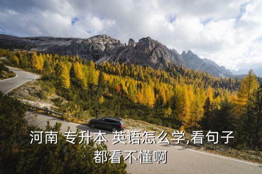  河南 專升本 英語怎么學(xué),看句子都看不懂啊