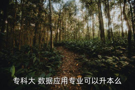 專科大 數(shù)據(jù)應(yīng)用專業(yè)可以升本么