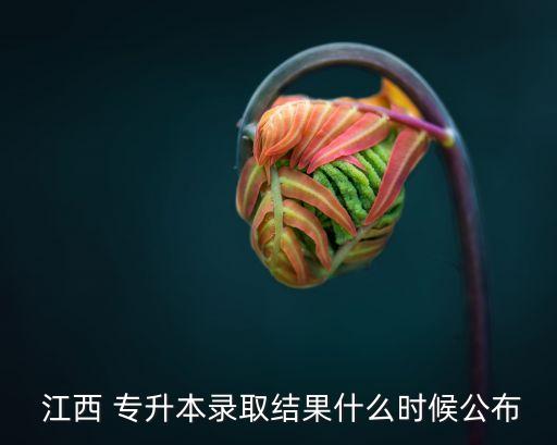 江西專升本英語考試準(zhǔn)考證,新傳媒今晚播出第二場(chǎng)選區(qū)競(jìng)選廣播