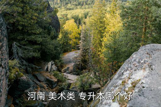 河南 美術(shù)類 專升本哪個好