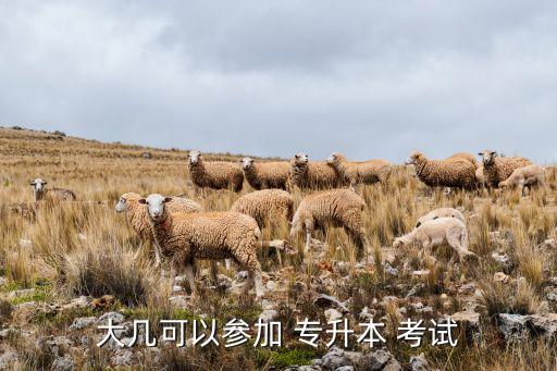 專升本是大幾考試成績(jī),中國(guó)大陸普通專升本考試時(shí)間因省而異