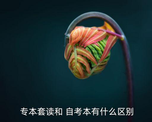 專本套讀和自考專升本的區(qū)別,自考本科和?？频臅遣灰粯拥?/></a></span><span id=